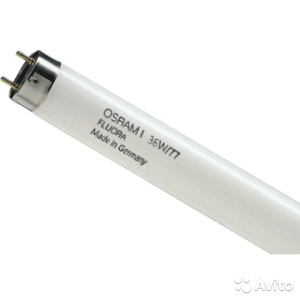 Люминесцентная лампа OSRAM 36/77 FLUORA - интернет-магазин электротоваров "Экспресс-электро" (изображение 1)
