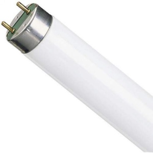 Люминесцентная лампа Philips TLD36/54-765 - интернет-магазин электротоваров "Экспресс-электро" (изображение 1)