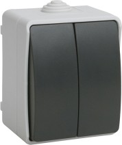 Выключатель 2-клавишный ФОРС IP54 IEK - интернет-магазин электротоваров "Экспресс-электро" (изображение 1)